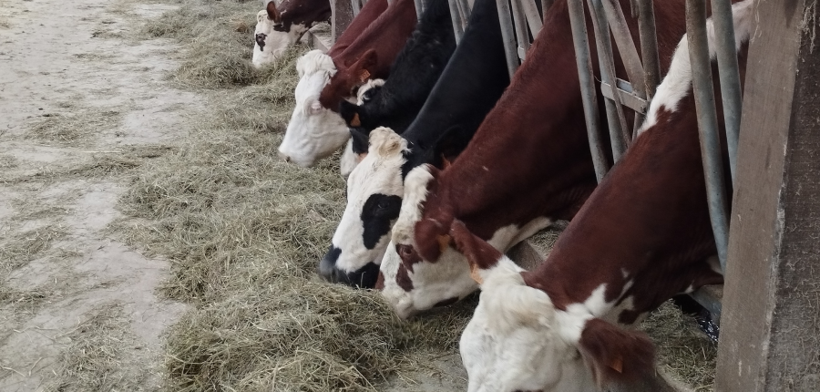 Agriculteurs biologiques et équipes de l’ESAT Utopi en visite des ateliers lors d’une rencontre organisée avec Agrobio 35