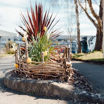 La haie de Benjes : une solution naturelle et écologique pour structurer vos espaces verts !